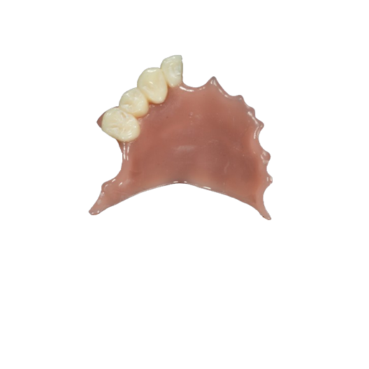 Denture Base