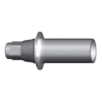 DXL- Aesthetic Plastic Abutment