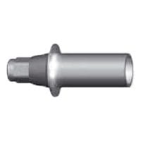 DXL- Aesthetic Plastic Abutment
