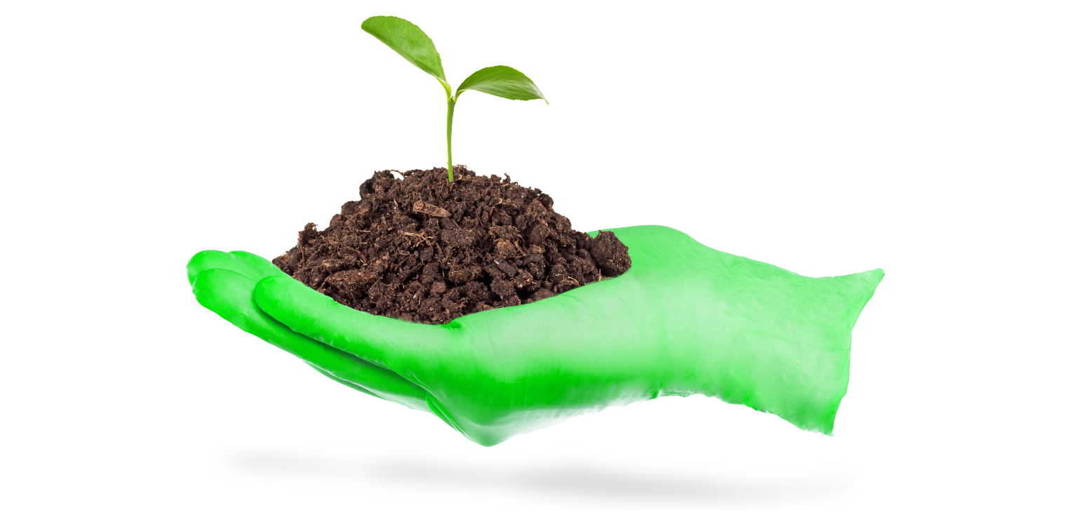 Sustainable Disposable Gloves - BeeSure – Ecobee Sdn Bhd, Examination Gloves
