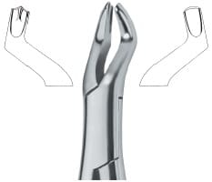 Molars , Right 53R