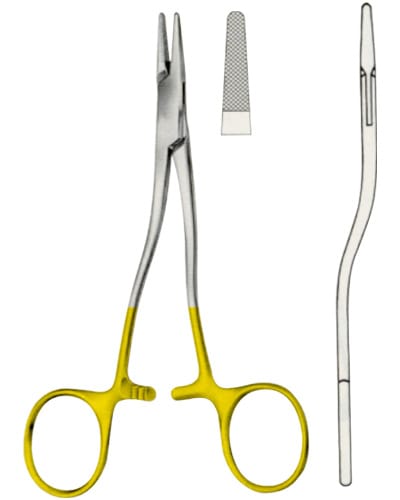 Bozemann 5