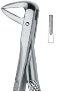 Incisors and Roots 74N