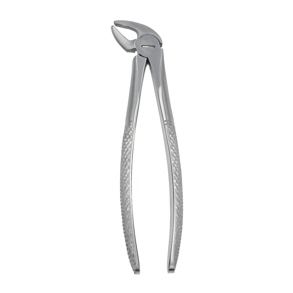 Fig. 38 Incisors and Canines, Lower Jaw | Junior Extraction Forceps | ErgoDenta 5015-38 – ErgoDenta ApS, Pediatric Extraction Forceps