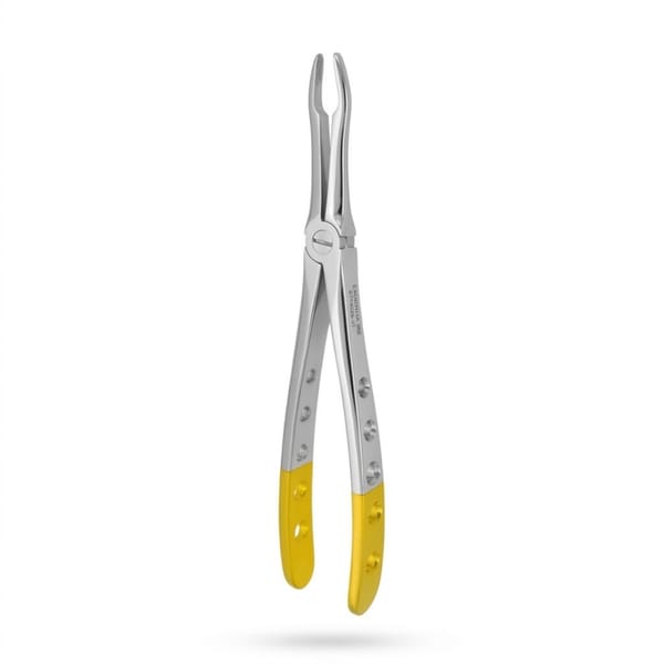 Upper Roots | Diamond Extraction Forcep | ErgoDenta 5025-41