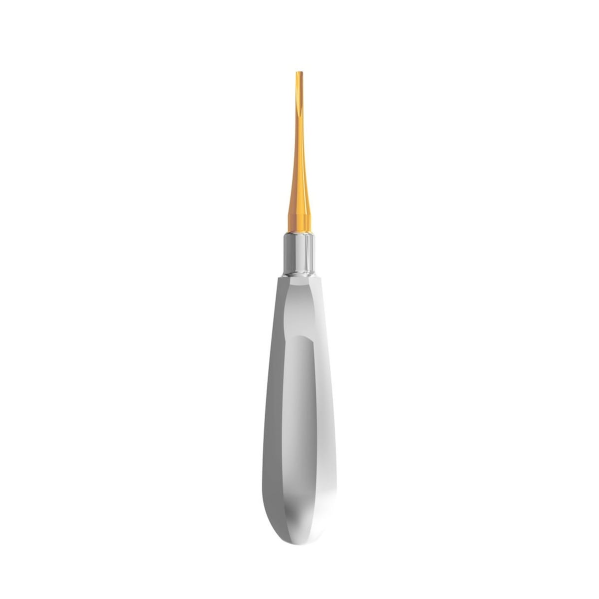 Luxating Elevator Gold, Curved, 2.5mm — Classic Handle | ErgoDenta 6002-5G – ErgoDenta ApS, Root Elevators