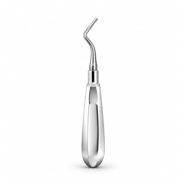 Flohr Root Elevator, Right | ErgoDenta 6045-2