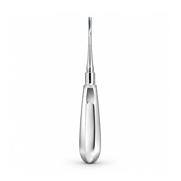 Hylin Root Elevator, Straight, Fig. 1 | ErgoDenta 6053-1