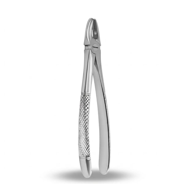 Upper Incisors and Molars | Standard Extraction Forcep | ErgoDenta 5005-1