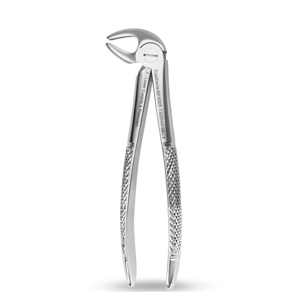 Lower Molars and Premolars | Standard Extraction Forcep | ErgoDenta 5005-13