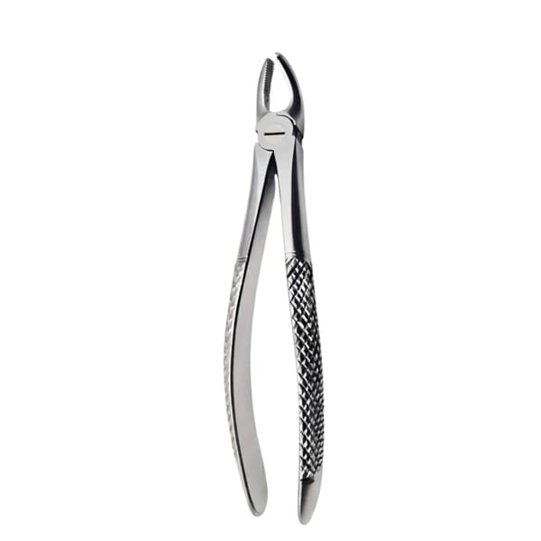 Upper Molars, Left | Standard Extraction Forcep | ErgoDenta 5005-18
