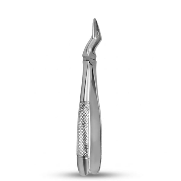 Upper Roots | Standard Extraction Forcep | ErgoDenta 5005-51A