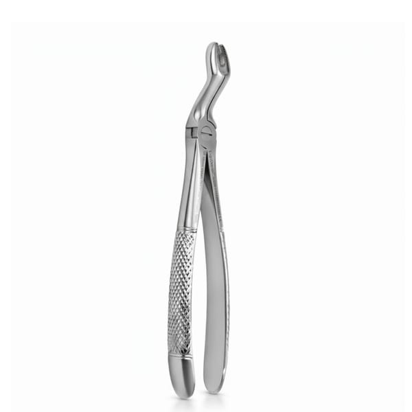 Forceps d'extraction standard S 67A