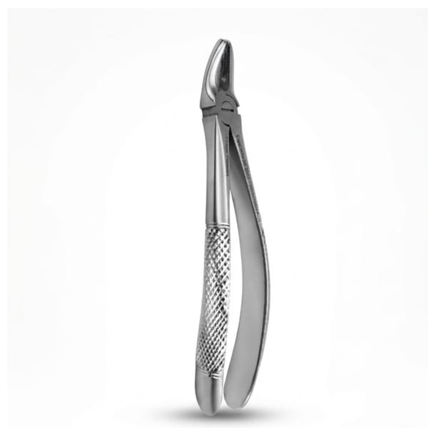 Upper Premolars | Standard Extraction Forcep | ErgoDenta 5005-7