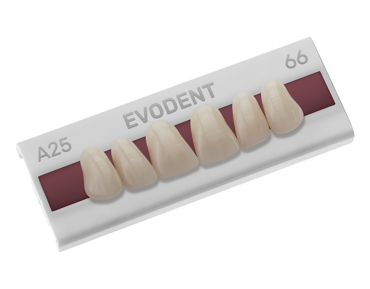 Evodent®
