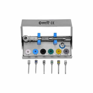 Dental Prosthetic Kit