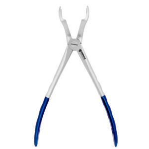 67 Upper Molars
