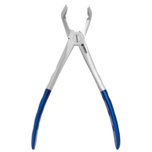 79 Lower Molars
