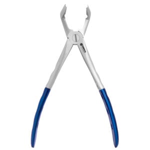 79 Lower Molars