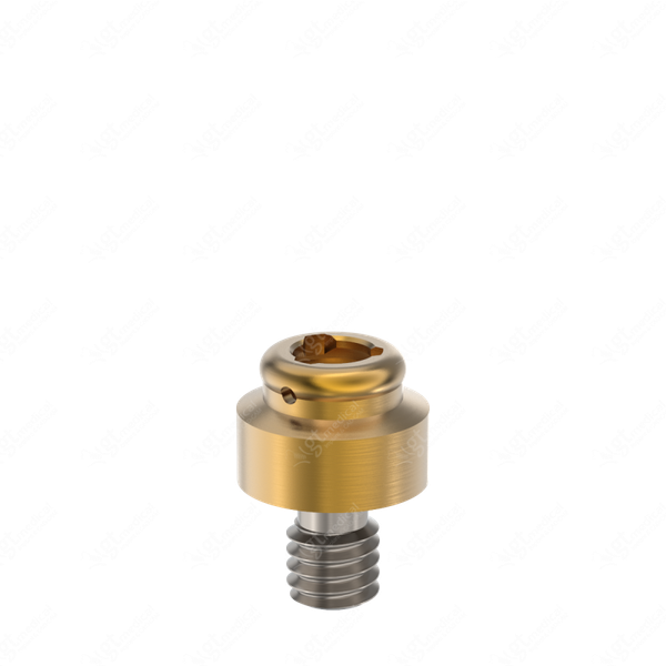 Loc. Abutment + Processing Package, G2.0mm compatible with Best Fit® e-Clean Wide (054 HXE) G20549