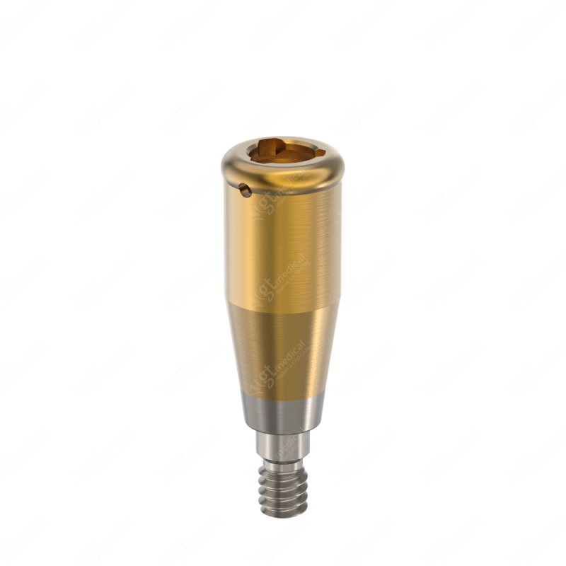 Loc. Abutment + Processing Package, G6.5mm compatible with Straumann® BLX® RB/WB G20756 – GT-Medical S.L., Abutments