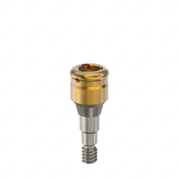 Loc. Abutment + Processing Package, G2.0mm compatible with Straumann® Bone Level NC® G20835