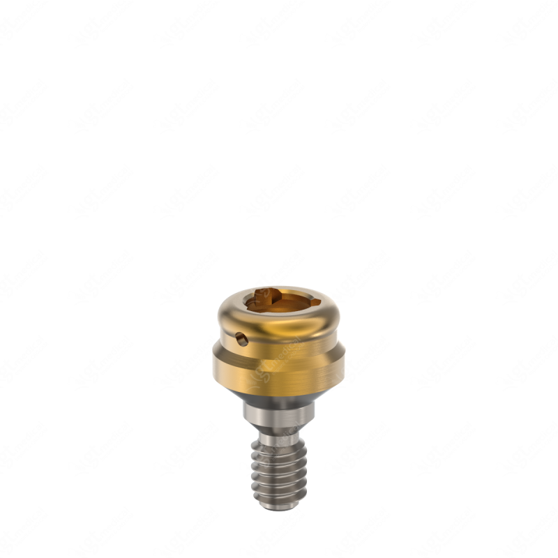 Loc. Abutment + Processing Package, G1.0mm compatible with Phibo® Aurea® Evo WP G20852 – GT-Medical S.L., Abutments