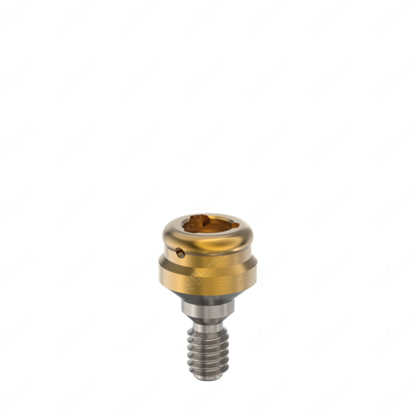 Loc. Abutment + Processing Package, G1.0mm compatible with Phibo® Aurea® Evo WP G20852