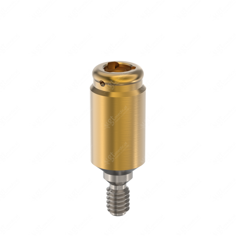 Loc. Abutment + Processing Package, G6.0mm compatible with Phibo® Aurea® Evo WP G20857 – GT-Medical S.L., Abutments