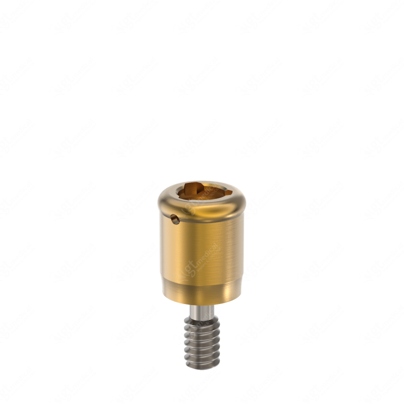 Loc. Abutment + Processing Package, G3.0mm compatible with Best Fit® e-Clean Mini (055 HXE) G21032 – GT-Medical S.L., Abutments