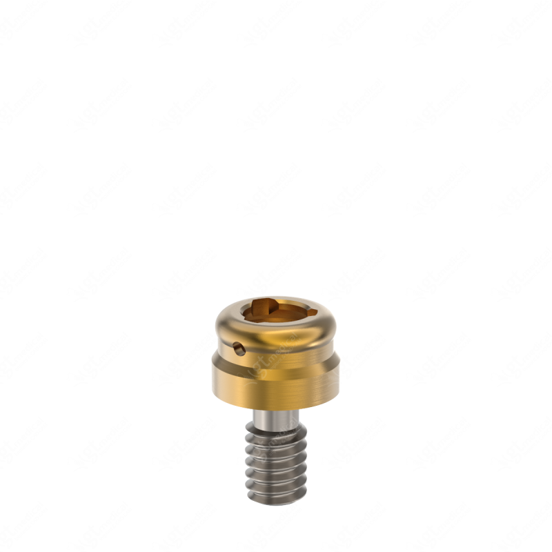 Loc. Abutment + Processing Package, G1.0mm compatible with Mis® Lance® External Standard G21042 – GT-Medical S.L., Abutments
