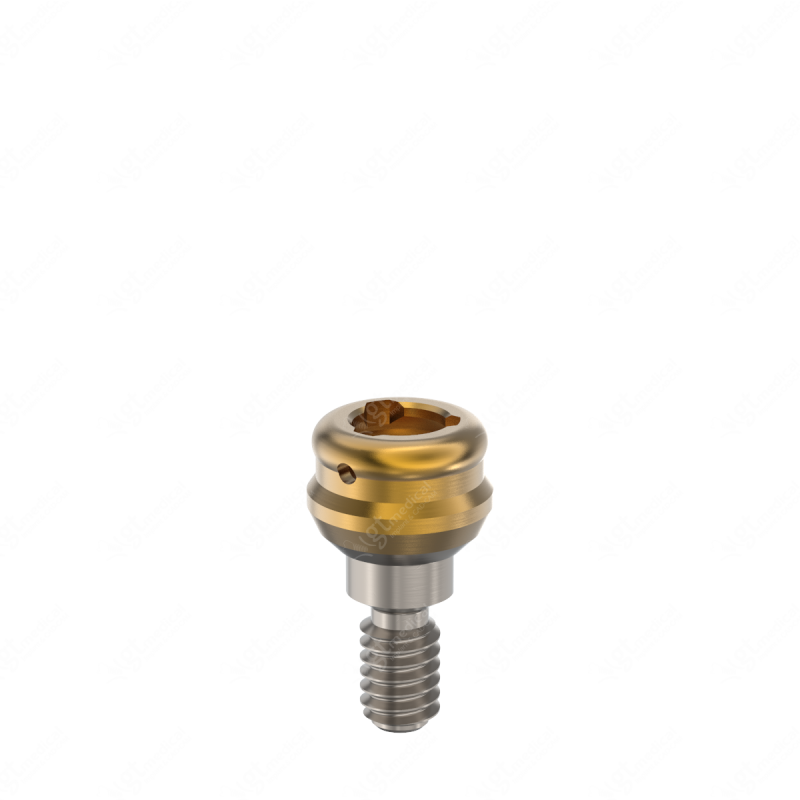 Loc. Abutment + Processing Package, G1.0mm compatible with Best Fit® Internal Hex 002 HXI G21168 – GT-Medical S.L., Abutments