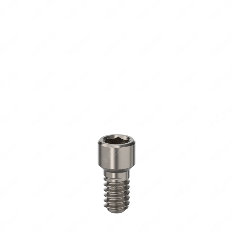Universal Screw, Hex 1.20, 4.0mm for Multi-Unit RP compatible with Bego Semados® Internal Ø3.25 /Ø3.75 G100281 – GT-Medical S.L., Sonstiges