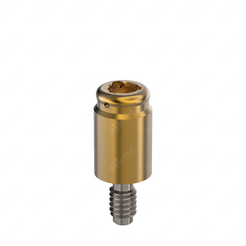 Loc. Abutment + Processing Package, G5.0mm compatible with BioHorizons® External Ø4.0 G20606 – GT-Medical S.L., Abutments