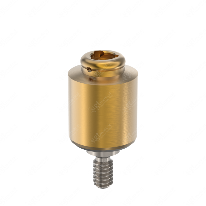Loc. Abutment + Processing Package, G6.0mm compatible with BioHorizons® Internal P5.7 G20619 – GT-Medical S.L., Abutments