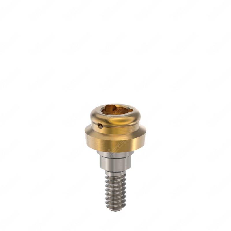 Loc. Abutment + Processing Package, G1.0mm compatible with Dentsply® Friadent® Xive® Ø4.5 G20661 – GT-Medical S.L., Abutments