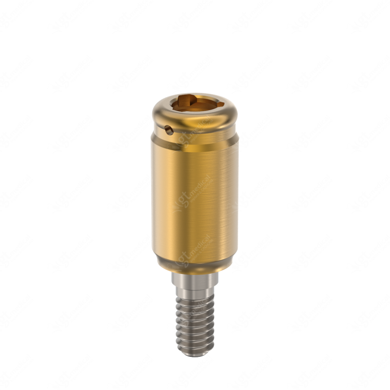 Loc. Abutment + Processing Package, G6.0mm compatible with Bti® Internal Narrow P3.5 G20821 – GT-Medical S.L., Abutments