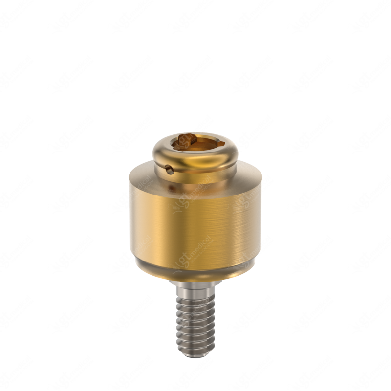 Loc. Abutment + Processing Package, G4.0mm compatible with Bti® Internal Wide P5.5 G20831 – GT-Medical S.L., Abutments