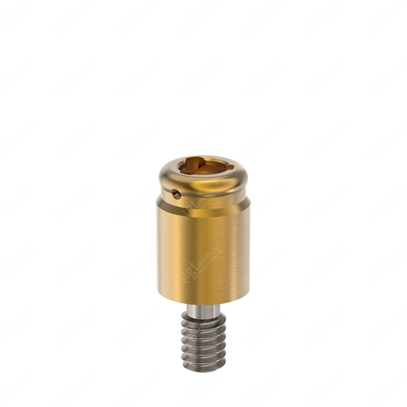 Loc. Abutment + Processing Package, G4.0mm compatible with Best Fit® e-Clean Regular G21045 – GT-Medical S.L., Abutments