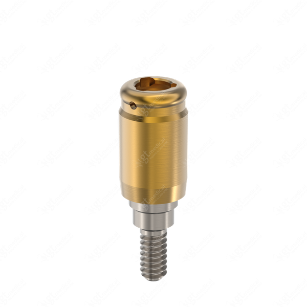 Loc. Abutment + Processing Package, G5.0mm compatible with Dentsply® Friadent® Xive® Ø3.8 G21262