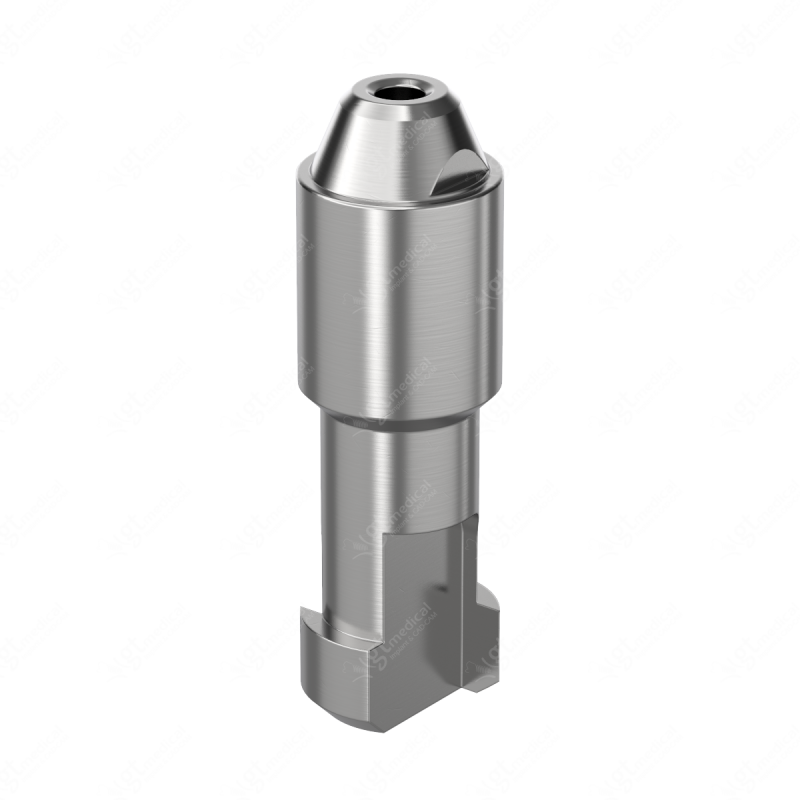 Analog D4.6mm for Screw-Retained Abutment Ø 4.6 compatible with Straumann® BLX® RB/WB E002033 – GT-Medical S.L., Other