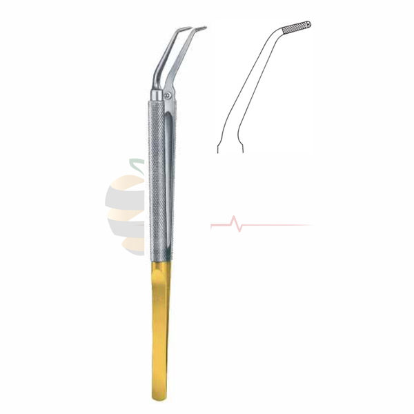 Jaboma Forceps (18cm) - Gold Plated End
