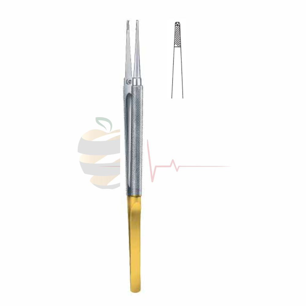 Jaboma Forceps – Gold Plated End (18 cm)
