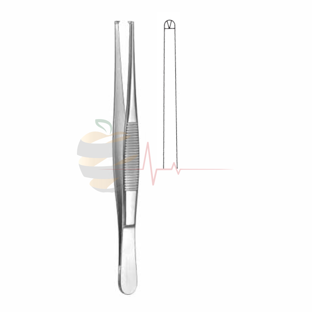 Dissecting Forceps (16cm, Standard Pattern)