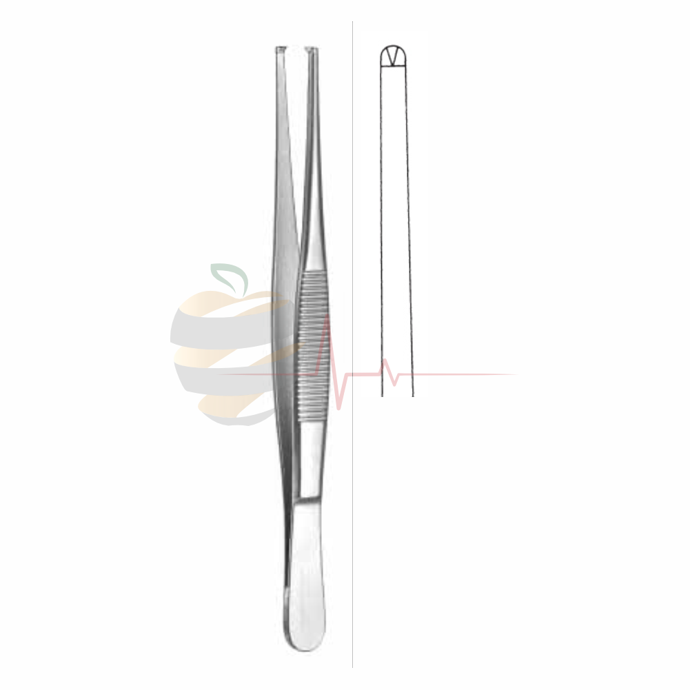 Dissecting Forceps (18cm, Standard Pattern)