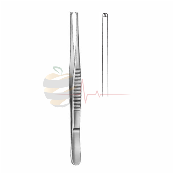 Dissecting Forceps (16cm, Slender Pattern)