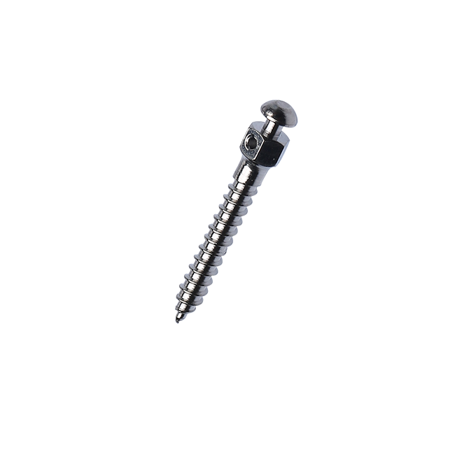 Orthodontic Implants China