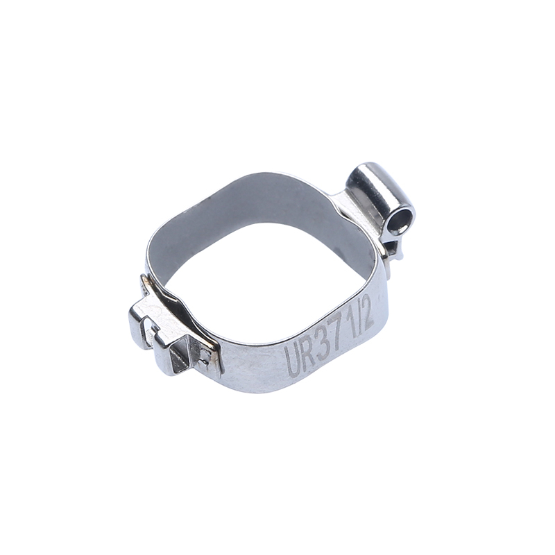 1st Molar Bands
