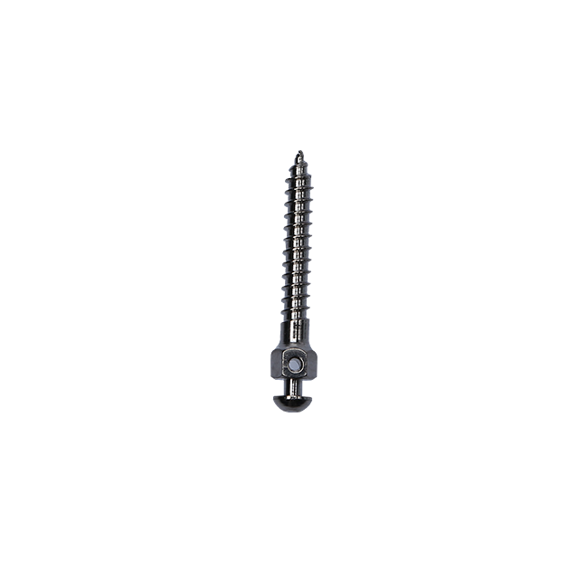 Orthodontic Mini Screw for Orthodontic Implant