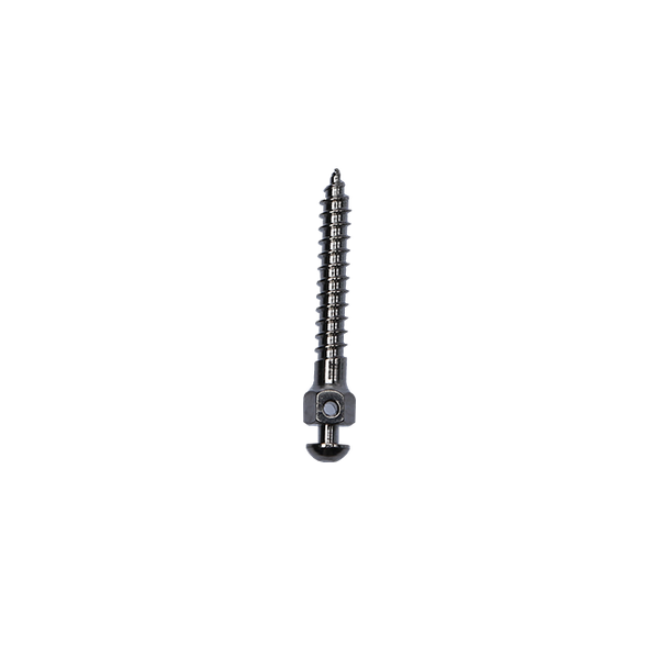 Orthodontic Mini Screw for Orthodontic Implant